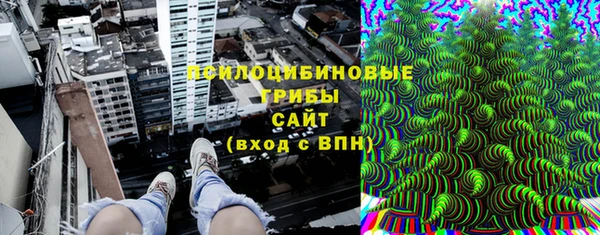 дурь Алзамай