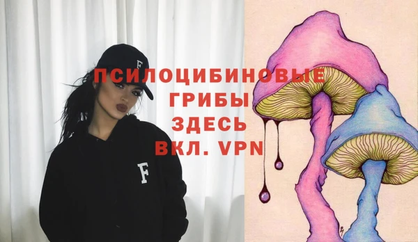 спиды Абинск
