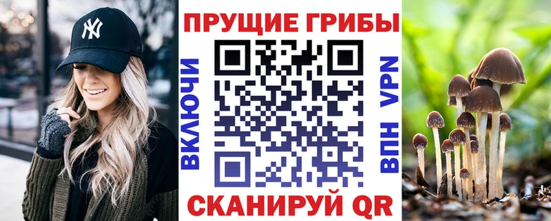 МЕГА рабочий сайт  Остров  Псилоцибиновые грибы GOLDEN TEACHER 